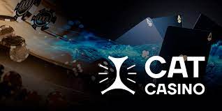 Стартуйте играть в игровые автоматы в Cat Casino прямо сейчас!